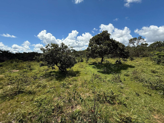 Fazenda à Venda,  em Bom Jardim De Goiás