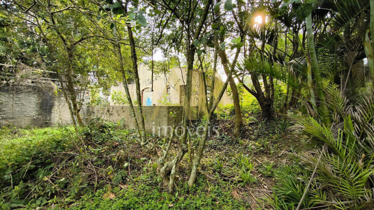 Imagem Terreno à Venda, 600 m² em Centro - São José Imagem Terreno à Venda, 600 m² em Centro - São José