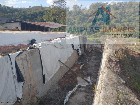 Imagem Fazenda à Venda, 60 m² em Azurita Imagem Fazenda à Venda, 60 m² em Azurita