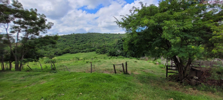 Imagem Imóvel à Venda, 290.400 m² em Amizade - Jandaia Do Sul Imagem Imóvel à Venda, 290.400 m² em Amizade - Jandaia Do Sul