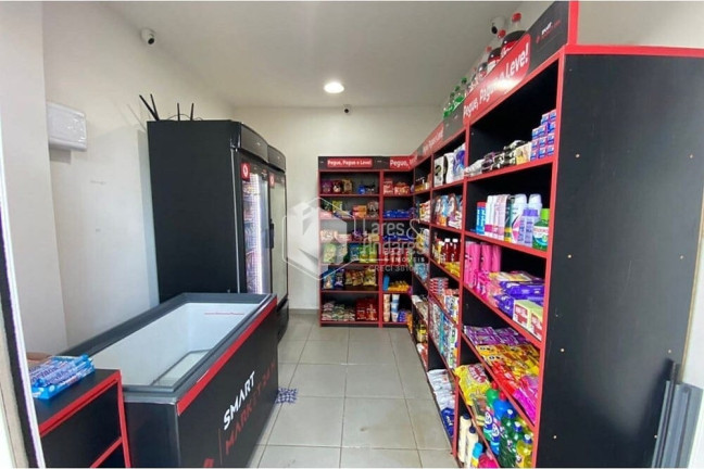 Imagem Apartamento com 2 Quartos à Venda, 60 m² em Vila Canero - São Paulo