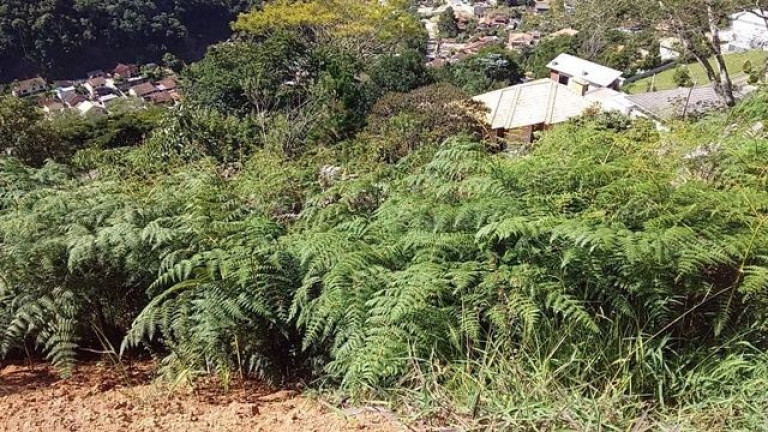 Imagem Terreno à Venda, 605 m² em Albuquerque - Teresópolis Imagem Terreno à Venda, 605 m² em Albuquerque - Teresópolis
