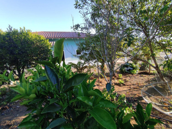Imagem Casa com 3 Quartos à Venda, 293 m² em Trigolândia - Piên