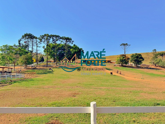 Imagem Fazenda à Venda, 10 m² em Porto - Lagoinha Imagem Fazenda à Venda, 10 m² em Porto - Lagoinha