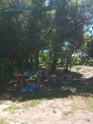 Imagem Casa com 2 Quartos à Venda, 750 m² em Viamão Imagem Casa com 2 Quartos à Venda, 750 m² em Viamão