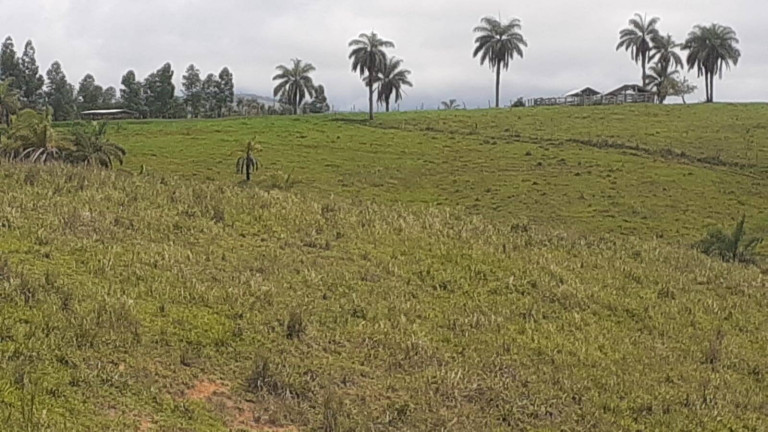 Imagem Fazenda à Venda, 1.950 m² em Centro - Córrego Danta Imagem Fazenda à Venda, 1.950 m² em Centro - Córrego Danta