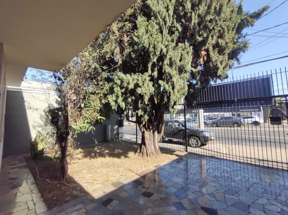 Imagem Casa com 3 Quartos para Alugar, 219 m² em Alemães - Piracicaba Imagem Casa com 3 Quartos para Alugar, 219 m² em Alemães - Piracicaba