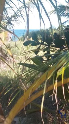 Imagem Terreno à Venda, 5.750 m² em Busca Vida (abrantes) - Camaçari Imagem Terreno à Venda, 5.750 m² em Busca Vida (abrantes) - Camaçari