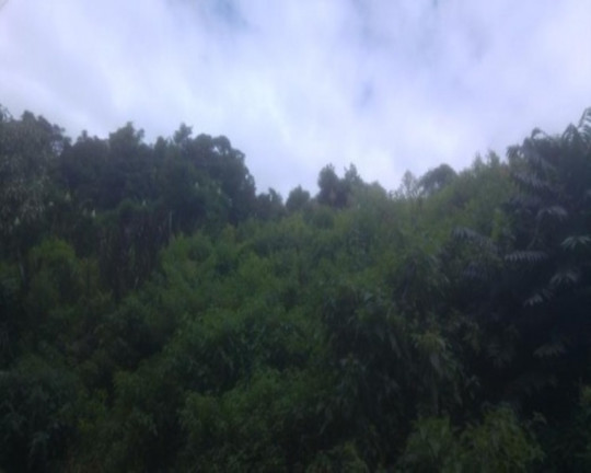 Terreno à Venda, 1.400 m² em Vila Olinda - Nova Petrópolis