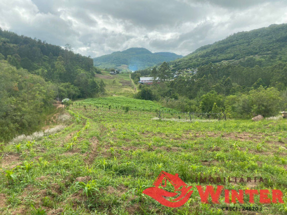 Chácara à Venda, 63.000 m² em São Roque - Feliz