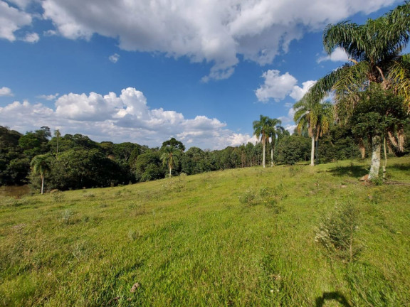 Imagem Chácara à Venda, em Sítio Linha Esperança - Iomerê Imagem Chácara à Venda, em Sítio Linha Esperança - Iomerê