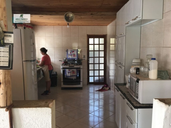 Imagem Chácara com 2 Quartos à Venda, 2.500 m² em Caetê - São Roque Imagem Chácara com 2 Quartos à Venda, 2.500 m² em Caetê - São Roque