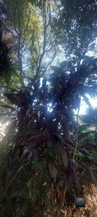 Imagem Terreno à Venda, 1.414 m² em Centro - Diadema Imagem Terreno à Venda, 1.414 m² em Centro - Diadema