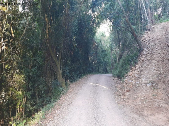 Imagem Terreno à Venda, 13.823 m² em Linha Olinda - Nova Petrópolis Imagem Terreno à Venda, 13.823 m² em Linha Olinda - Nova Petrópolis