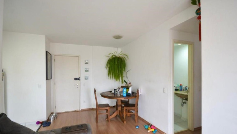 Imagem Apartamento com 2 Quartos à Venda, 50 m² em Cambuci - São Paulo Imagem Apartamento com 2 Quartos à Venda, 50 m² em Cambuci - São Paulo