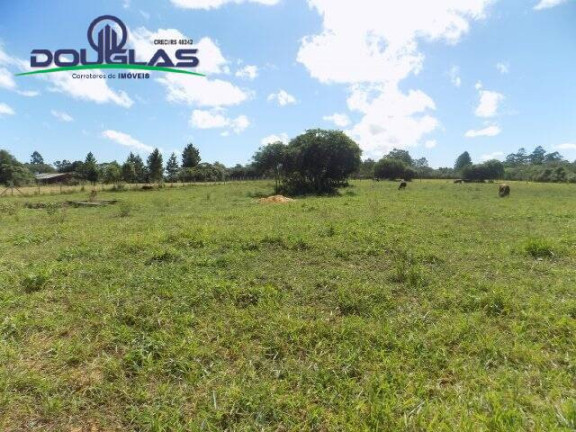 Imagem Terreno à Venda, 1.100 m² em águas Claras - Viamão Imagem Terreno à Venda, 1.100 m² em águas Claras - Viamão