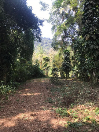 Imagem Terreno à Venda, 32 m² em Horto Florestal - Ubatuba