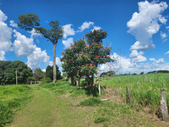 Imagem Fazenda à Venda, 9 m² em Santa Tereza - Pirassununga Imagem Fazenda à Venda, 9 m² em Santa Tereza - Pirassununga