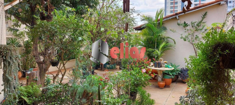 Imagem Casa com 3 Quartos à Venda, 270 m² em Vila Santa Tereza - Bauru Imagem Casa com 3 Quartos à Venda, 270 m² em Vila Santa Tereza - Bauru