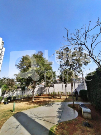 Imagem Apartamento com 2 Quartos à Venda, 69 m² em Vila Maria Alta - São Paulo Imagem Apartamento com 2 Quartos à Venda, 69 m² em Vila Maria Alta - São Paulo