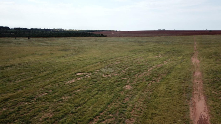 Imagem Fazenda à Venda, 220 m² em Zona Rural - Euclides Da Cunha Paulista Imagem Fazenda à Venda, 220 m² em Zona Rural - Euclides Da Cunha Paulista