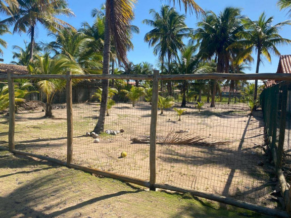 Imagem Terreno à Venda, 1 m² em Saquaíra - Marau Imagem Terreno à Venda, 1 m² em Saquaíra - Marau