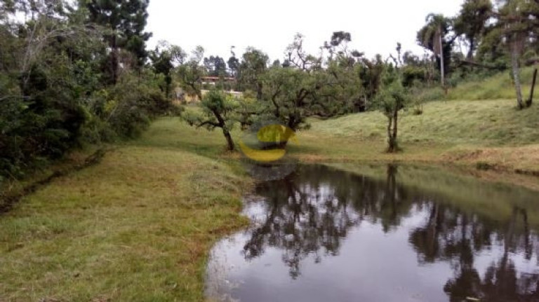 Imagem Chácara com 2 Quartos à Venda, 21.250 m² em Jardim Brasília - Mairinque Imagem Chácara com 2 Quartos à Venda, 21.250 m² em Jardim Brasília - Mairinque