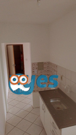 Imagem Apartamento com 2 Quartos para Alugar, 50 m² em Pedra Do Descanso - Feira De Santana Imagem Apartamento com 2 Quartos para Alugar, 50 m² em Pedra Do Descanso - Feira De Santana