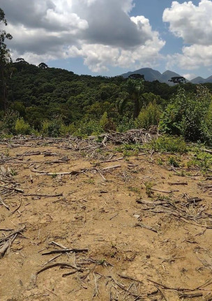 Imagem Imóvel à Venda, 72.600 m² em Ribeirão Do Tigre - Quatro Barras
