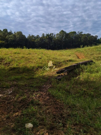 Imagem Chácara à Venda, 6.000.000 m² em São Pedro De Alcântara Imagem Chácara à Venda, 6.000.000 m² em São Pedro De Alcântara