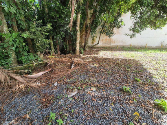 Imagem Terreno à Venda, 813 m² em Victor Konder - Blumenau Imagem Terreno à Venda, 813 m² em Victor Konder - Blumenau