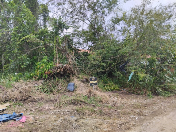Imagem Terreno à Venda, 300 m² em Ubatuba - São Francisco Do Sul Imagem Terreno à Venda, 300 m² em Ubatuba - São Francisco Do Sul