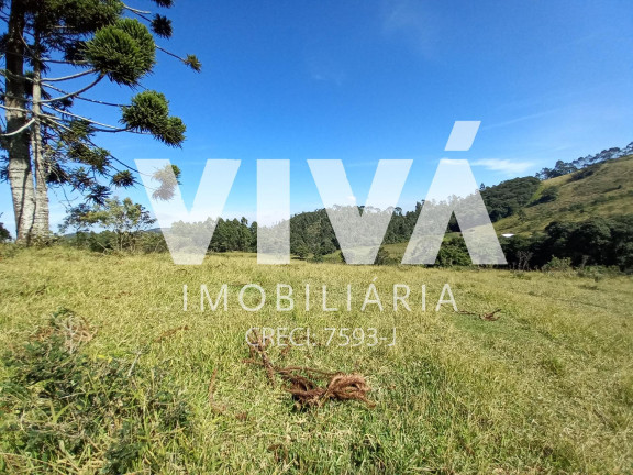 Imagem Fazenda à Venda, 338.800 m² em Rural - Pedra Bela Imagem Fazenda à Venda, 338.800 m² em Rural - Pedra Bela