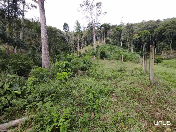 Imagem Fazenda à Venda, 13.000 m² em Pagará - São Pedro De Alcântara Imagem Fazenda à Venda, 13.000 m² em Pagará - São Pedro De Alcântara