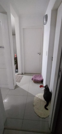 Imagem Casa com 2 Quartos à Venda, 55 m² em Cajuru - Curitiba Imagem Casa com 2 Quartos à Venda, 55 m² em Cajuru - Curitiba