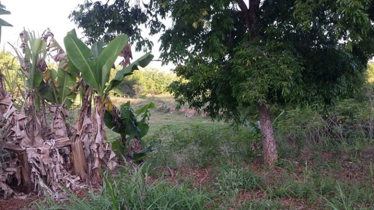 Imagem Chácara à Venda,  em Granjas Rurais Reunidas São Judas Tadeu - Taubaté