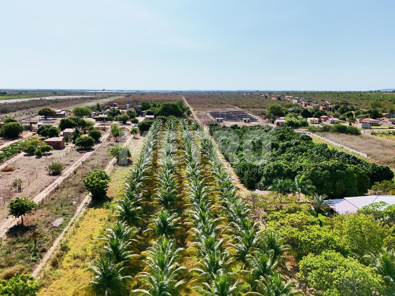 Imagem Fazenda à Venda, em Estrada Das Pedrinhas - Petrolina Imagem Fazenda à Venda, em Estrada Das Pedrinhas - Petrolina