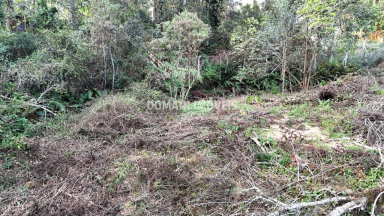 Imagem Terreno à Venda, 1.200 m² em Região De Capivari - Campos Do Jordão Imagem Terreno à Venda, 1.200 m² em Região De Capivari - Campos Do Jordão