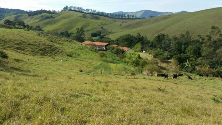 Imagem Chácara com 4 Quartos à Venda, 193.600 m² em Centro - Piracaia Imagem Chácara com 4 Quartos à Venda, 193.600 m² em Centro - Piracaia