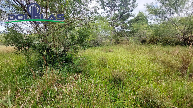 Imagem Chácara à Venda, 20.000 m² em águas Claras - Viamão Imagem Chácara à Venda, 20.000 m² em águas Claras - Viamão
