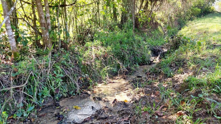 Imagem Imóvel com 3 Quartos à Venda, 100.000 m² em Zona Rural - Agrolândia