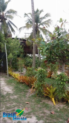Imagem Casa com 4 Quartos à Venda, 12.200 m² em Santo Antonio - Santa Cruz Cabrália Imagem Casa com 4 Quartos à Venda, 12.200 m² em Santo Antonio - Santa Cruz Cabrália