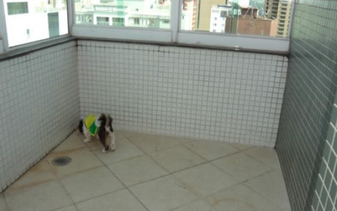 Imagem Apartamento com 4 Quartos para Alugar, 300 m² em Jardim Aquarius - São José Dos Campos Imagem Apartamento com 4 Quartos para Alugar, 300 m² em Jardim Aquarius - São José Dos Campos