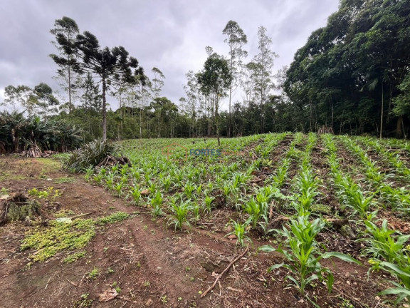 Imagem Imóvel à Venda, 163 m² em Solidão - Maquiné Imagem Imóvel à Venda, 163 m² em Solidão - Maquiné