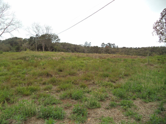 Imagem Chácara com 3 Quartos à Venda, 58.800 m² em Santos - Piedade
