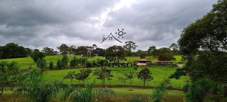Imagem Fazenda à Venda, 110.000 m² em Cachoeira De Almas - Florestal Imagem Fazenda à Venda, 110.000 m² em Cachoeira De Almas - Florestal