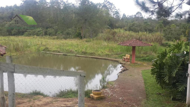 Imagem Chácara com 4 Quartos à Venda, 22.000 m² em Biritiba-mirim
