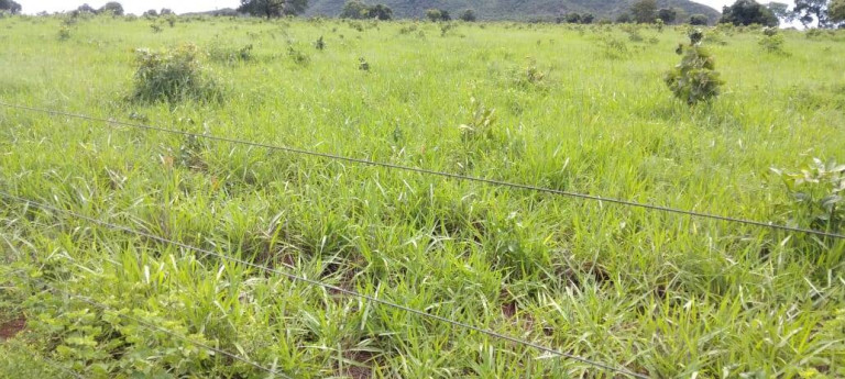 Imagem Fazenda à Venda, 121 m² em Zona Rural - Montes Claros De Goiás