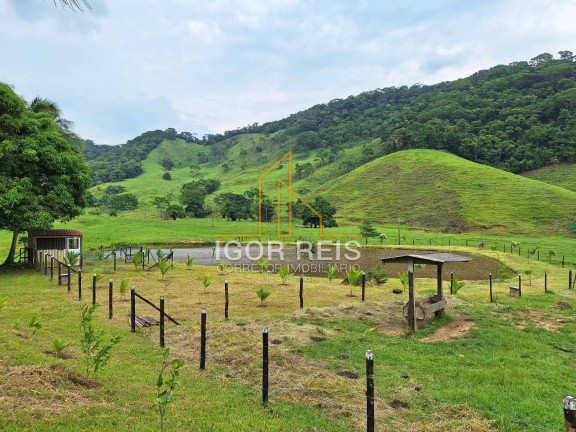 Imagem Fazenda à Venda, 400 m² em Campos Dos Goytacazes Imagem Fazenda à Venda, 400 m² em Campos Dos Goytacazes