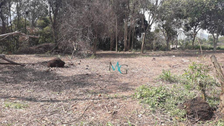 Imagem Imóvel para Alugar, 2.400 m² em Campo Grande - Rio De Janeiro Imagem Imóvel para Alugar, 2.400 m² em Campo Grande - Rio De Janeiro
